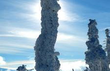 Apartament Azzurro - Old Town - Foto 54