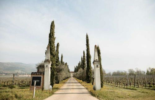 Dimora Buglioni Wine Relais - Foto 13