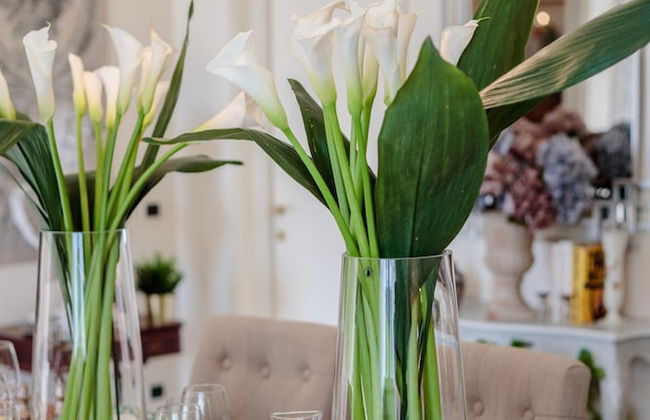 Villa Dana in Segromigno in Monte - Photo 79