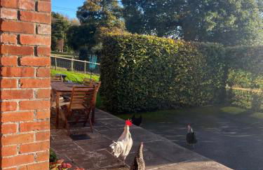 The Old Bull Pen - Foto 13