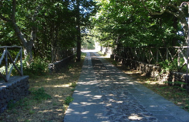 Bosco Ciancio - Photo 50