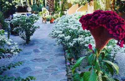 Zaira Studios - Foto 11