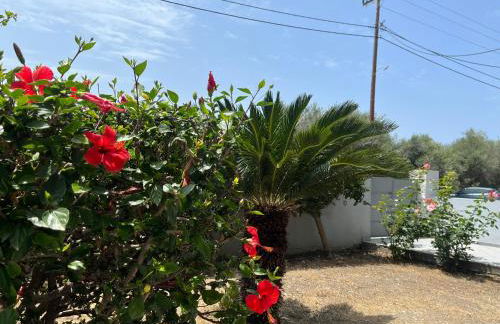 Silver Palm House Ixia, Rhodes - Foto 32