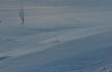 Chata pod kogutem - Photo 12