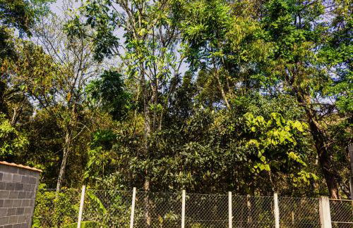 Cantinho do Sossego - Foto 32