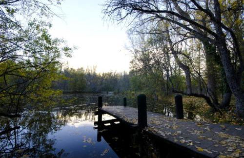 Alojamientos la Abuela - Foto 22