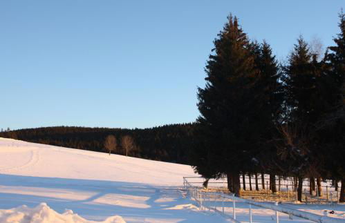 Landhaus Black Forest - Foto 10