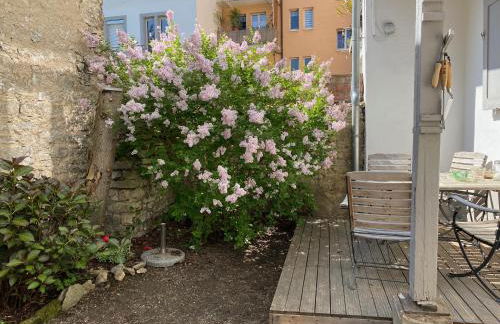 annadaly Stadtraumwohnung - Foto 12