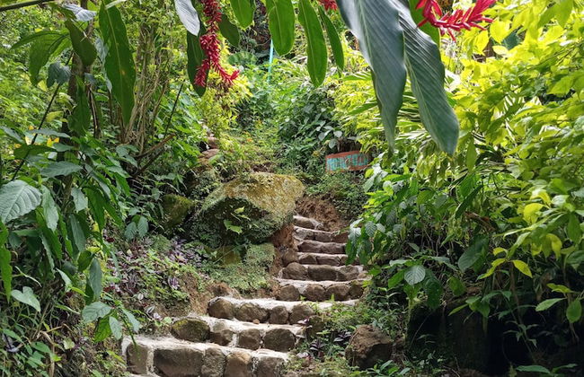 Berkey's Jungle Paradise - Photo 47