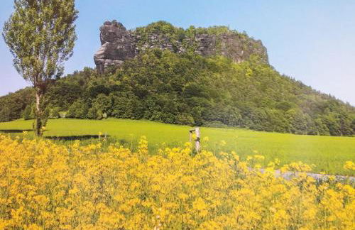 Ferienwohnung-Schrammsteinblick - Foto 44