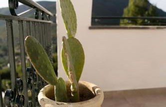 Casa Ilios Vista Mare e Montagna - Borgo Stays - Foto 15