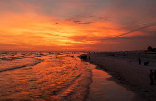 Private Patio, Walk to All, 2min- Siesta Keys Best Beach, 1min- Dining & Entertainment of Village! - Foto 34