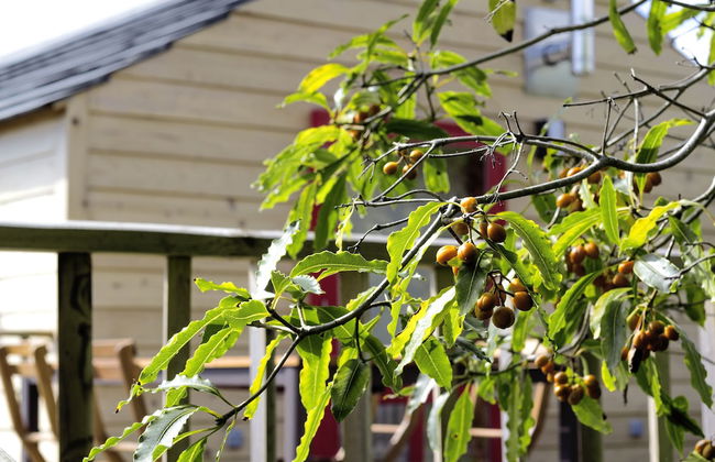 Azul Singular - Foto 40