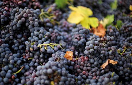 Agriturismo Le Fornase - Foto 47