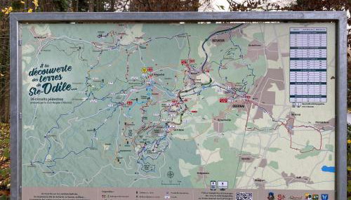 Gîte au nid de l’écureuil - Foto 3