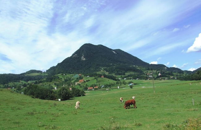 The Cabin At St. Donat's - Foto 13