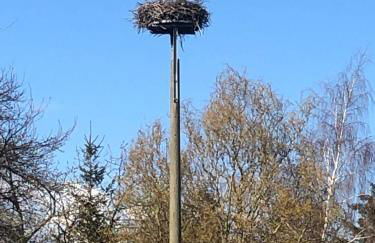 Ferienwohnung am Storchnest - Foto 25