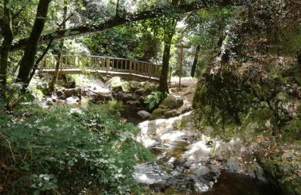 Casa GANCHINHO - Foto 77