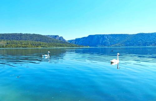 Villa Laurel - Foto 34