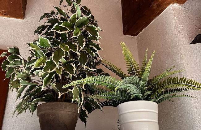 A&A Rooftop - Photo 1