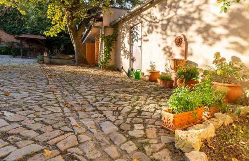 Gästehaus Geiseltalsee - Foto 12