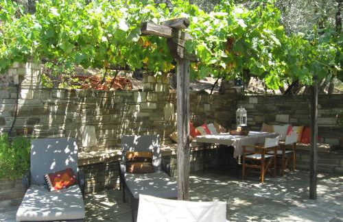 Olive Grove House - Foto 37