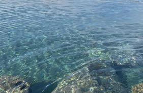 Estudio La Corbeta - Photo 21