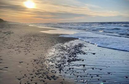 Diuna Apartamenty 365 - Foto 29