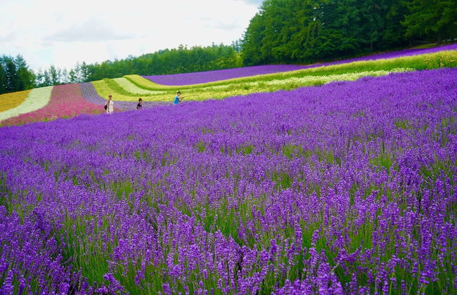 FuranoSky White - Foto 37