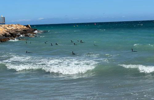 Residentie GALA - Foto 54