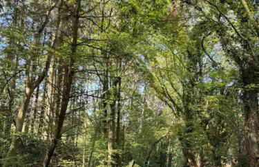 The Cottage at Sychnant Farm - Photo 37