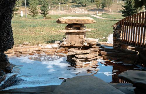 Ośrodek Wczasów Zdrowotnych Rudawka Rymanowska - Foto 49