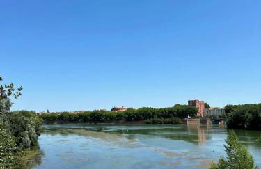 Loft Garonne - Centre ville immeuble privatif - Foto 66