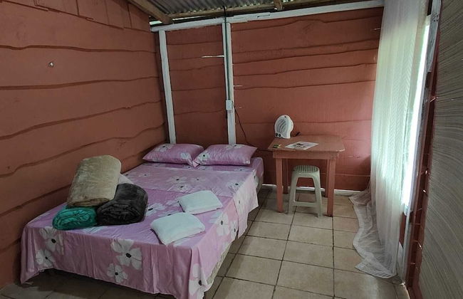 Millar de Aves - Foto 6