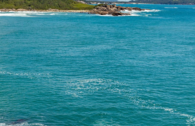Excursion sur les plages d'Imbituba - Photo 1
