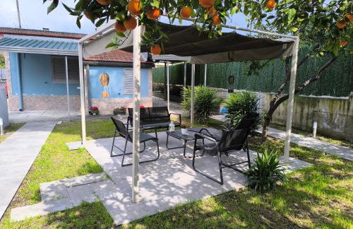 Il Paradiso Verde - Foto 4