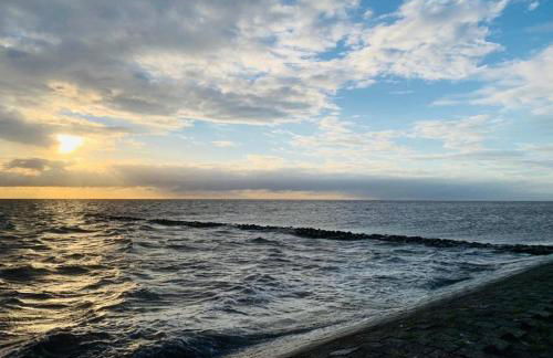 Das Atelier - Foto 37