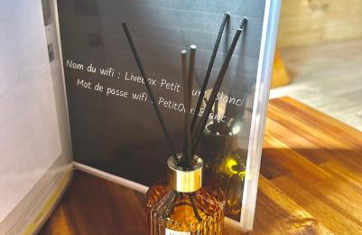 Petit Ours Blanc - Foto 12