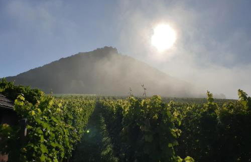 Studio 22, Terrasse,Pool,Sauna,Ofen - Foto 23