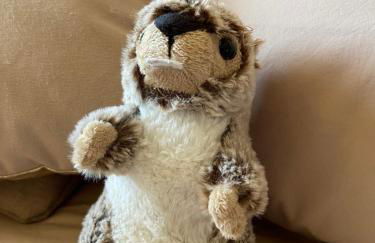 La marmotte qui papote - Photo 55