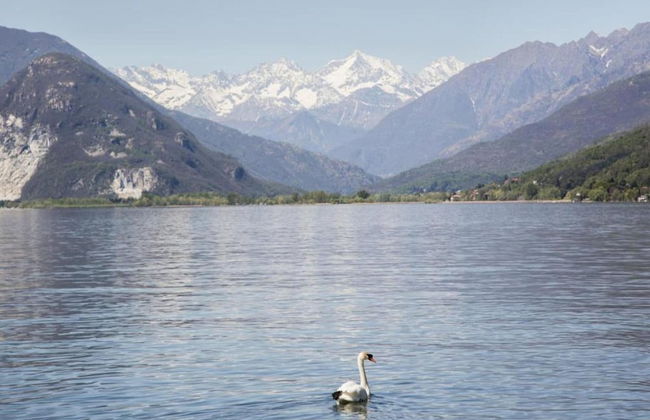 Chalet in Verbania Near Lake Maggiore - Foto 34