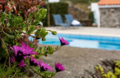 Charming Holiday House - House & Apartment - Photo 1