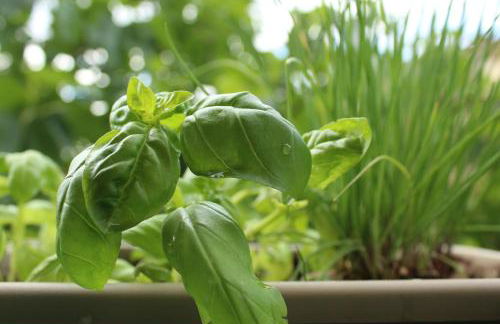 Residenza La Stazione - Foto 22