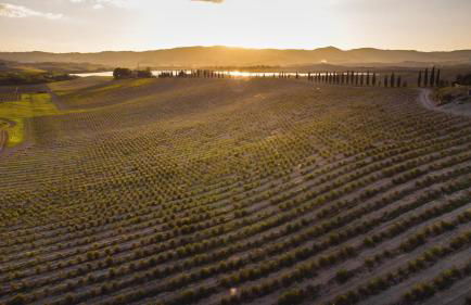 Le Fraine - Agriturismo & Olives Glamping - Foto 33