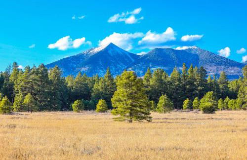 New Flagstaff House Near Mt Elden and Downtown - Foto 27