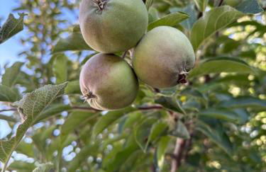 Costa Brava Paradís - Foto 38