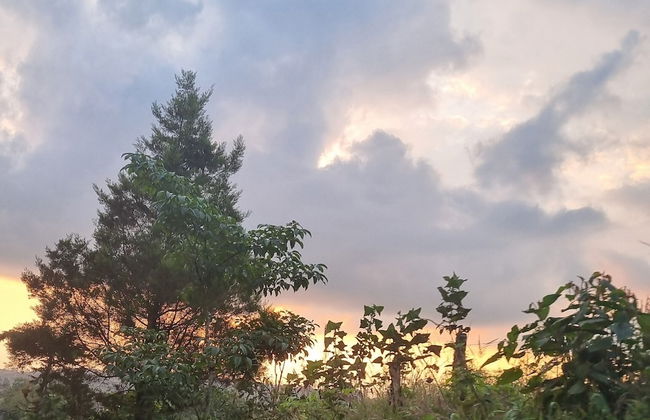 CABAÑAS EL PARAISO EN FILANDIA - Photo 15