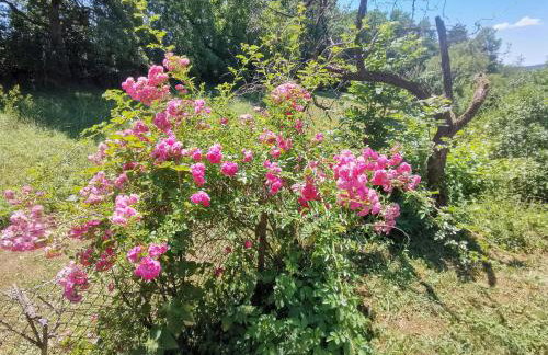 Ferienhaus am alten Steinbruch - Foto 8