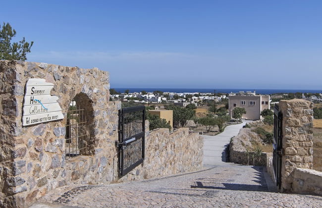 Summer House Collection - Photo 31