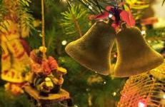 Casa Bartolacci Charme in Bivigliano (Near Mugello and Florence) - Foto 72